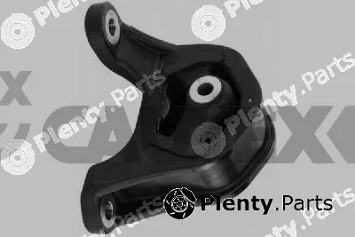 Cautex 769511 — Mounting, engine