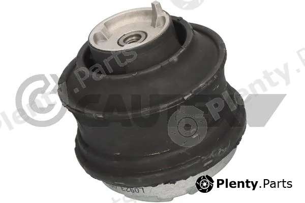 Cautex 776578 — Mounting, engine