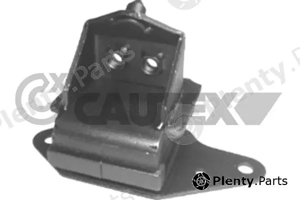 Cautex 761944 — Mounting, engine