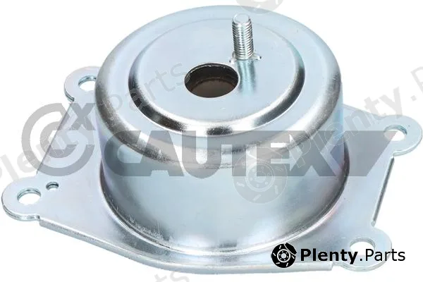 Cautex 776575 — Mounting, engine