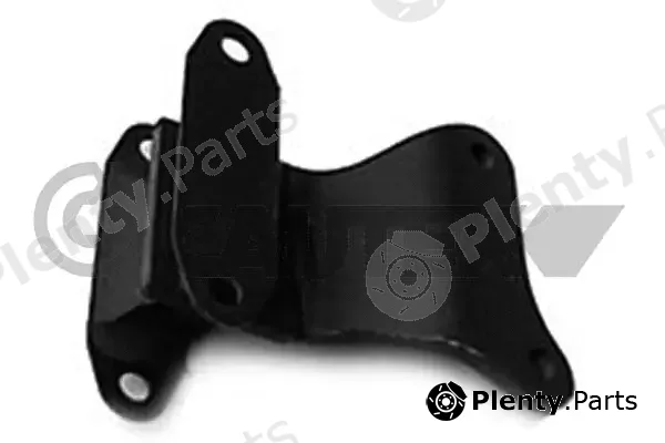 Cautex 011200 — Mounting, engine
