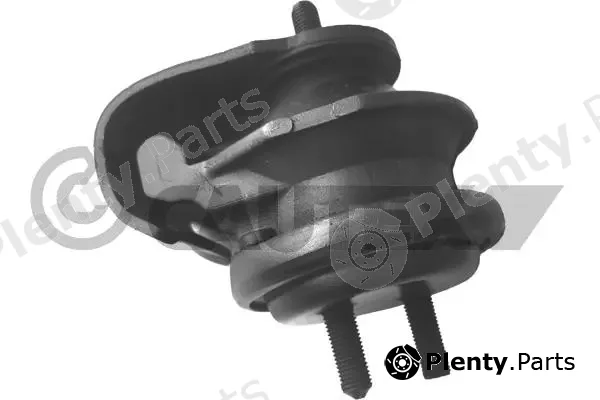 Cautex 760508 — Mounting, engine