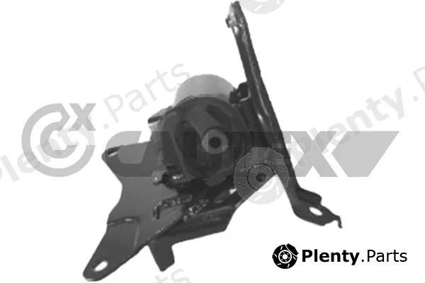 Cautex 760156 — Mounting, engine