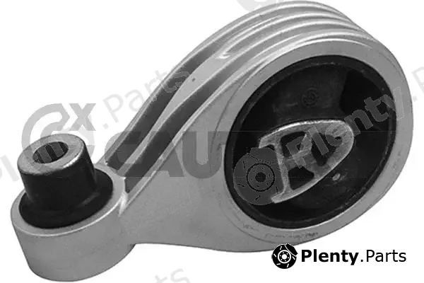 Cautex 759113 — Mounting, engine
