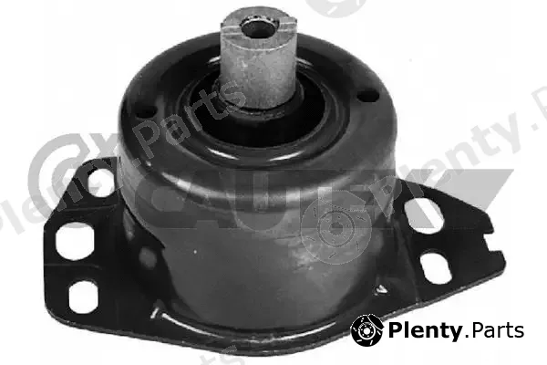 Cautex 756100 — Mounting, engine