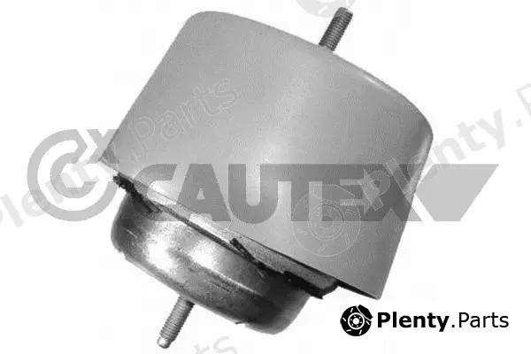 Cautex 755979 — Mounting, engine