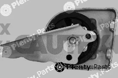 Cautex 201598 — Mounting, engine