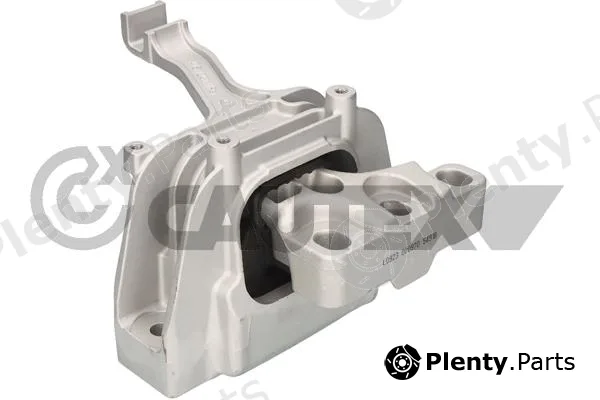 Cautex 776580 — Mounting, engine