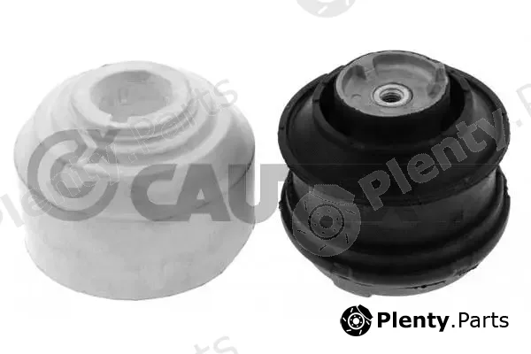 Cautex 774289 — Mounting, engine