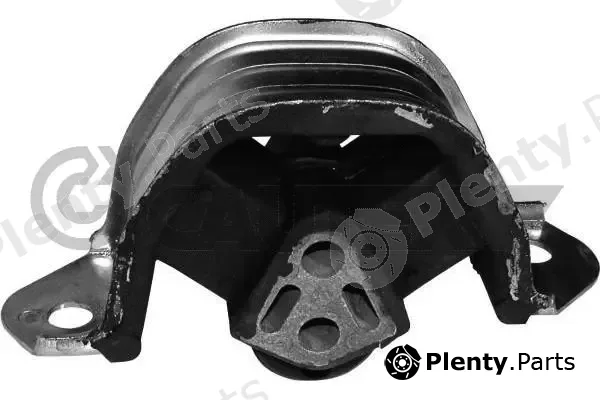 Cautex 480088 — Mounting, engine