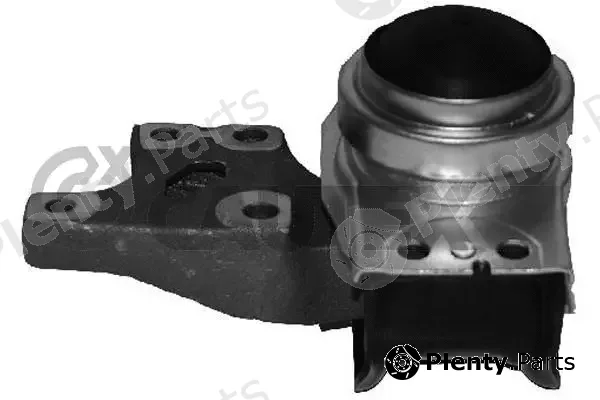 Cautex 031506 — Mounting, engine