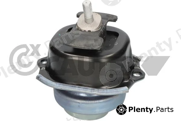 Cautex 776581 — Mounting, engine