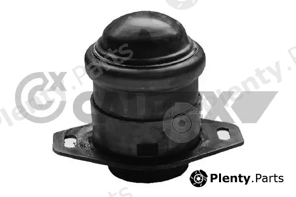 Cautex 756008 — Mounting, engine