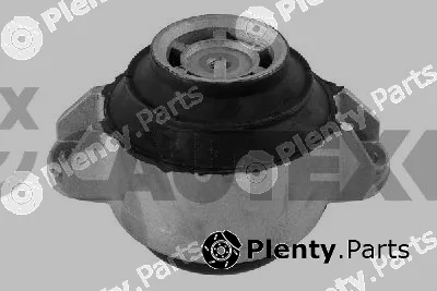 Cautex 775210 — Mounting, engine