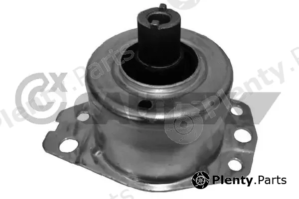 Cautex 756099 — Mounting, engine