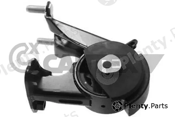 Cautex 756388 — Mounting, engine