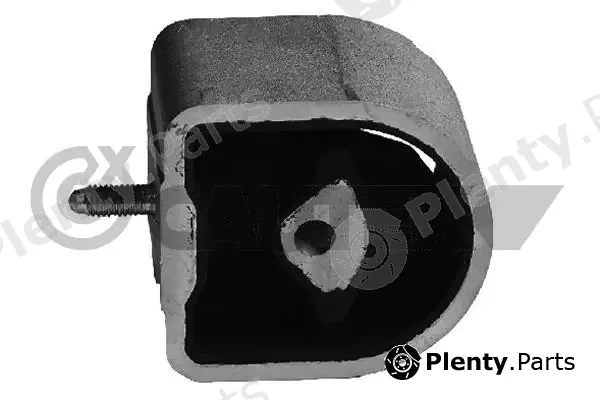 Cautex 181032 — Mounting, engine