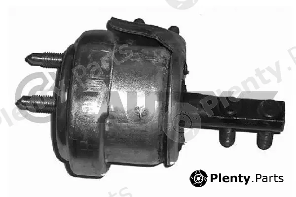 Cautex 080208 — Mounting, engine