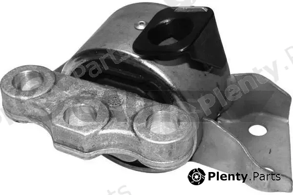 Cautex 756114 — Mounting, engine