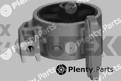 Cautex 769295 — Mounting, engine