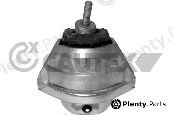 Cautex 756149 — Mounting, engine