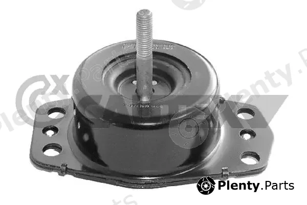 Cautex 020512 — Mounting, engine
