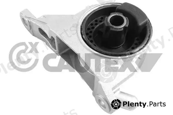 Cautex 760585 — Mounting, engine