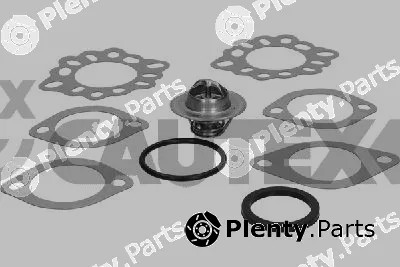Cautex 770189 — Thermostat, coolant