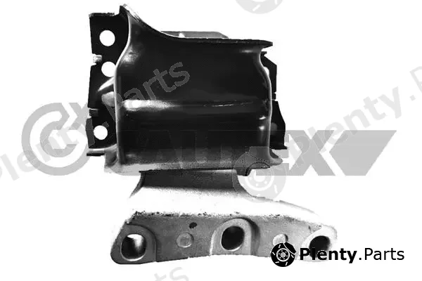 Cautex 758222 — Mounting, engine