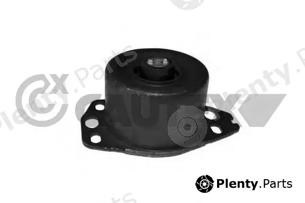 Cautex 756542 — Mounting, engine