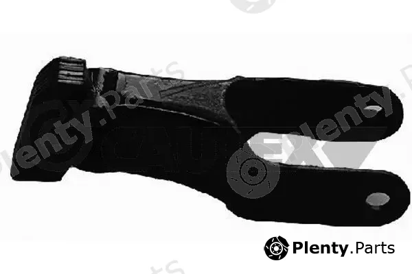 Cautex 756927 — Mounting, engine