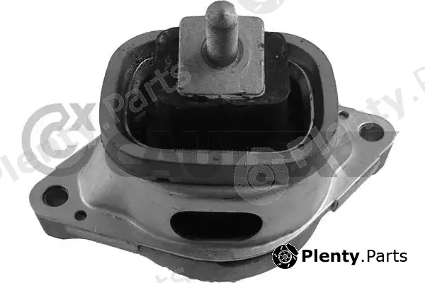 Cautex 753519 — Mounting, engine