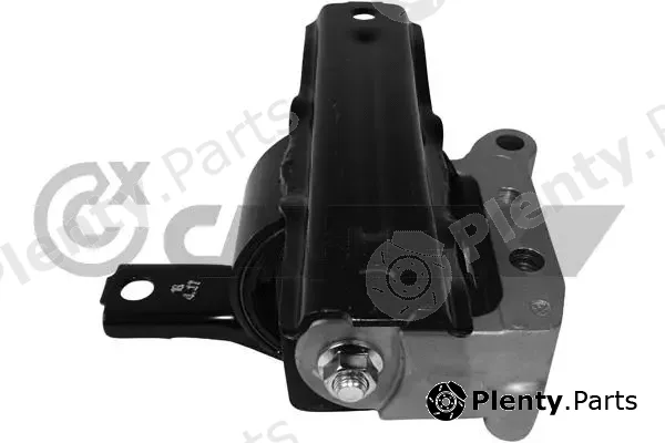 Cautex 759066 — Mounting, engine