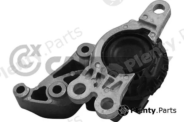 Cautex 759109 — Mounting, engine