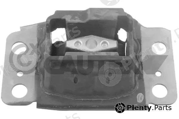 Cautex 769762 — Mounting, engine