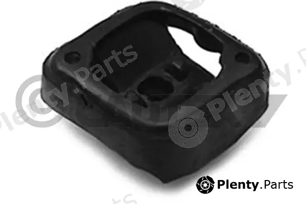 Cautex 180057 — Mounting, engine