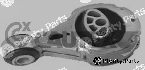 Cautex 756256 — Mounting, engine