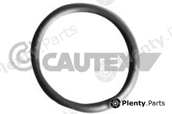 Cautex 750037 — Seal Ring, injector