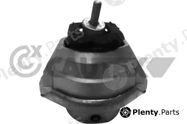 Cautex 760575 — Mounting, engine