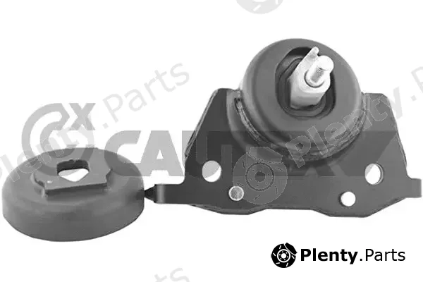 Cautex 760172 — Mounting, engine