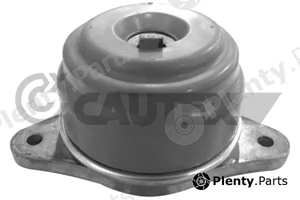 Cautex 755980 — Mounting, engine