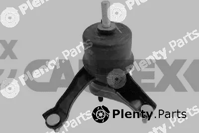 Cautex 772261 — Mounting, engine