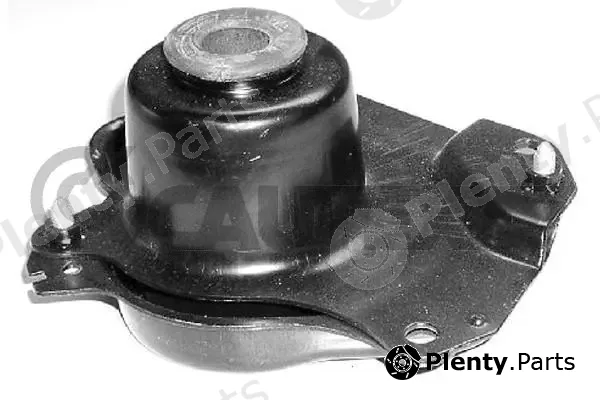 Cautex 461038 — Mounting, engine