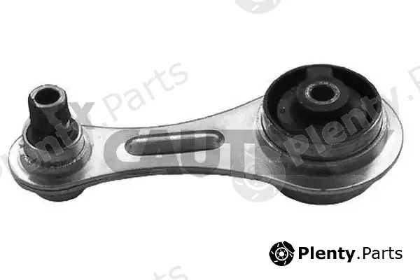 Cautex 020037 — Mounting, engine