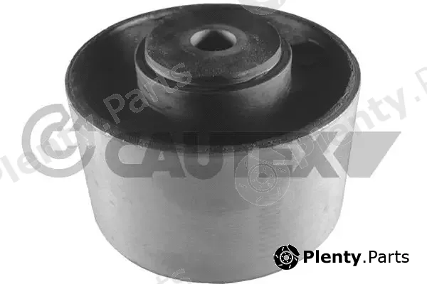 Cautex 030212 — Mounting, engine
