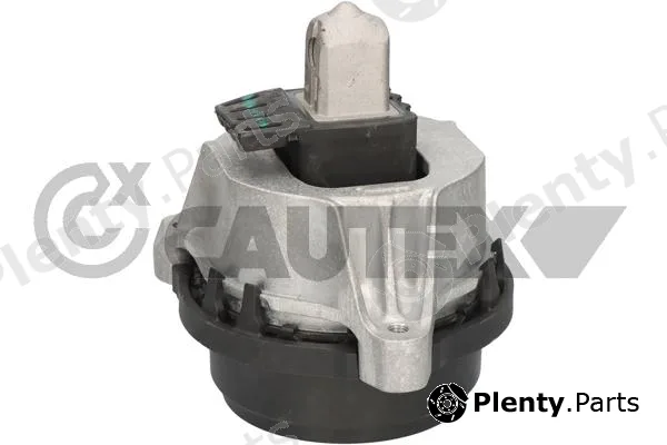 Cautex 776582 — Mounting, engine