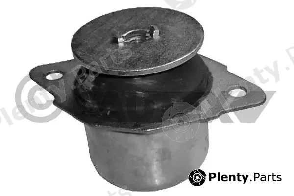 Cautex 460904 — Mounting, engine