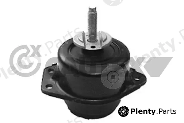 Cautex 020417 — Mounting, engine