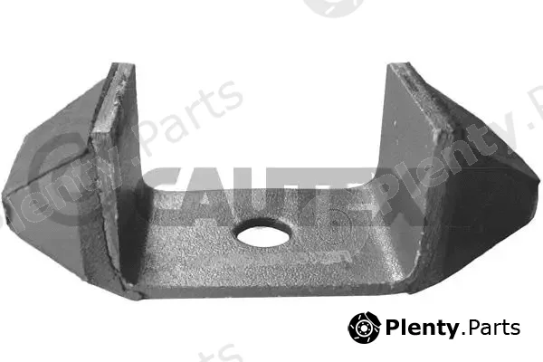 Cautex 030209 — Mounting, engine