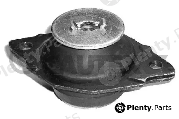 Cautex 010874 — Mounting, engine